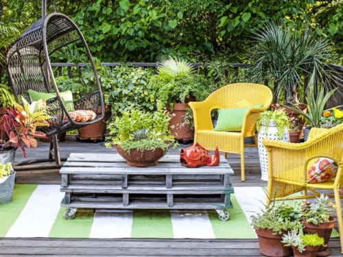 terrace garden